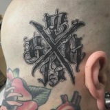 Kel241